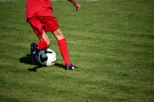 九游官网入口注册-篮球比赛策略智能辅助系统研发与应用,篮球智能训练